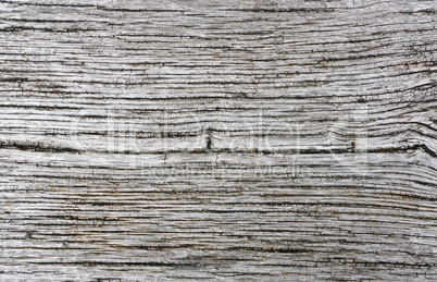 Wooden background texture vintage style grey color