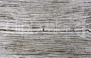 Wooden background texture vintage style grey color