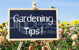 Gardening Tips - chalkboard with flowers in the garden