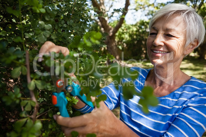 Smiling senior woman trimming plants with pruning shears