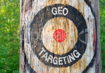 Geo Targeting - tree with target in the forest