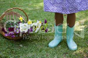 Low section of girl standing by flowers in basket on grass