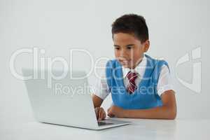 Schoolboy using laptop