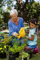 Smiling senior woman and girl watering potted plants