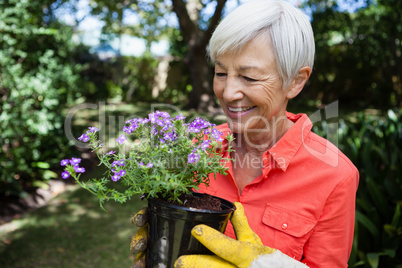 Smiling senior woman looking at purple flowering pot