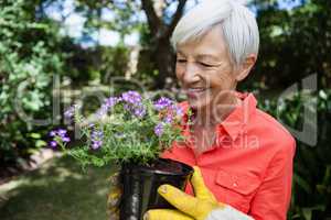 Smiling senior woman looking at purple flowering pot
