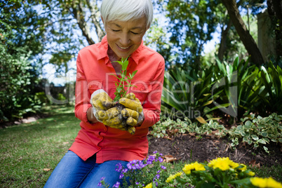 Smiling senior woman planting seedling