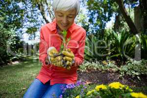 Smiling senior woman planting seedling