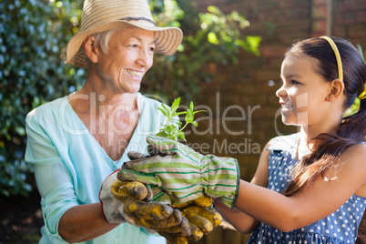 Smiling granddaughter and grandmother holding seedling