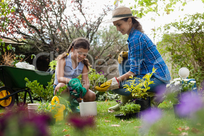 Mother giving seedling to daughter while gardening