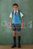 Schoolboy standing in front of chalkboard in classroom