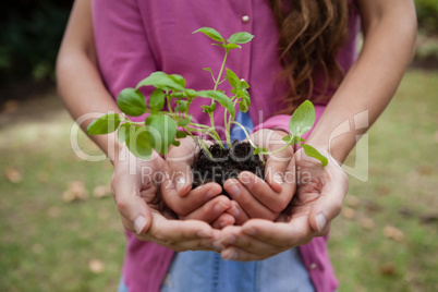 Midsection of woman and daughter holding seedling in hands