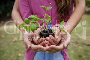 Midsection of woman and daughter holding seedling in hands