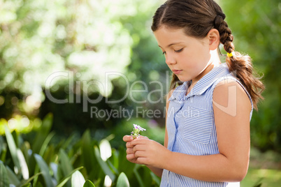 Girl holding flower standing at backyard