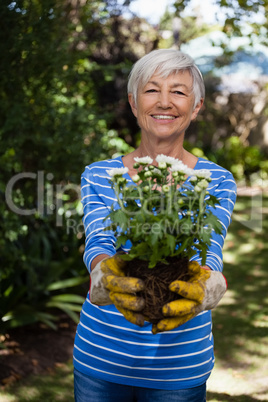 Portrait of smiling senior woman standing with white flowers