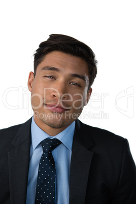 Portrait of happy businessman