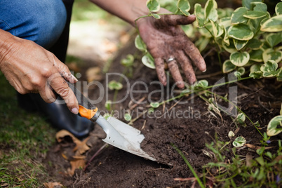 Cropped image of senior woman digging soil with trowel