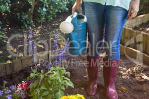 Low section of senior woman standing with watering can by plants on dirt