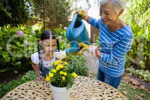 Girl looking while smiling senior woman watering yellow flowers on table