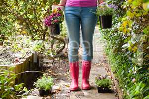 Low section of woman standing with potted plants on footpath