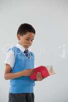 Schoolboy reading book against white background