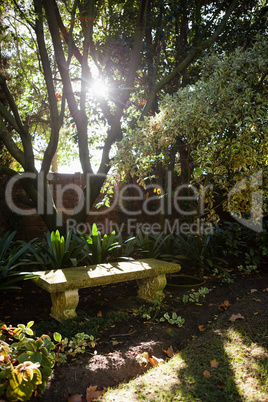 Stone bench by plants against surrounding wall