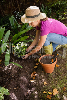 High angle view of woman planting flowers while crouching