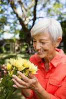 Smiling senior woman looking at yellow flowers