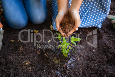Girl with grandmother watering plants from cupped hands