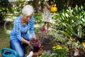 Smiling senior woman planting flowers while granddaughter watering plants