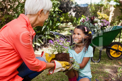 Smiling girl looking at grandmother while giving flowering pot
