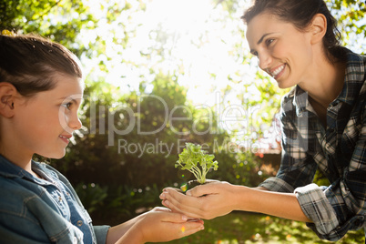 Smiling mother giving seedling to daughter