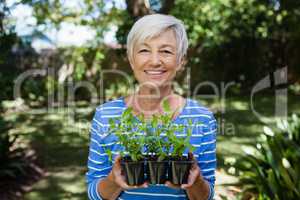Portrait of smiling senior woman holding seedlings