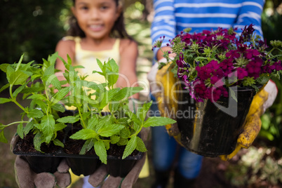 Close-up of girl and senior woman holding plants
