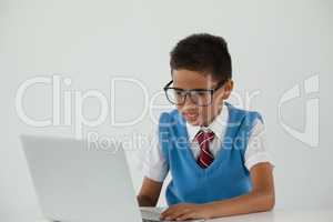 Schoolboy using laptop