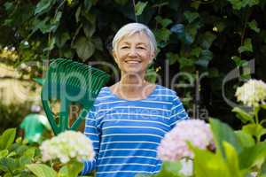 Portrait of smiling senior woman with rake amidst plants