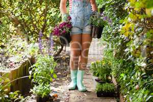 Low section of woman girl with flowering plants on footpath