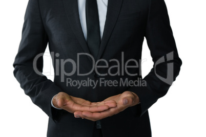 Mid section of businessman doing hand gesture