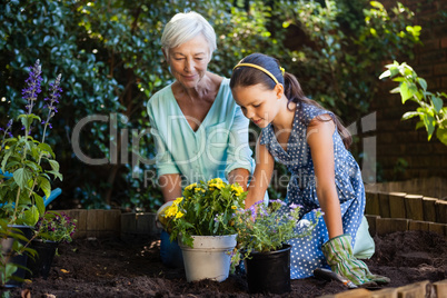 Grandmother and granddaughter planting various flower pots