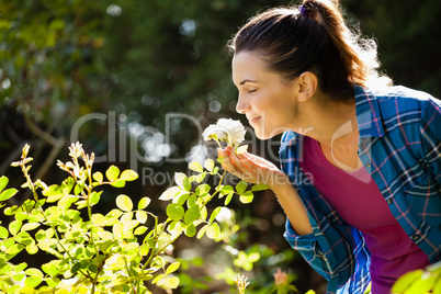 Smiling woman smelling roses at backyard