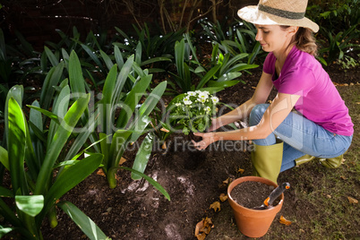 High angle view of woman crouching while holding flowers