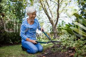 Senior woman kneeling while cutting plants with hedge trimmer