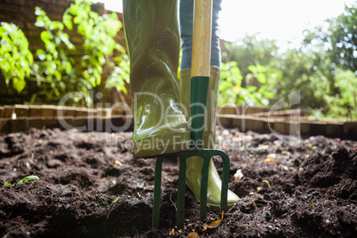 Low section of woman standing with gardening fork on dirt