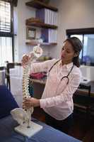 Young female therapist examining artificial spine on bed