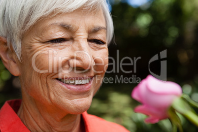 Close-up of smiling senior woman looking at fresh pink rose