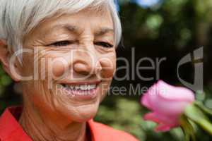 Close-up of smiling senior woman looking at fresh pink rose