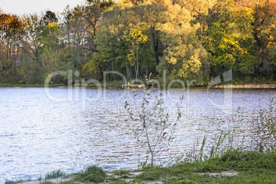 The autumn wood on the bank of the big beautiful lake