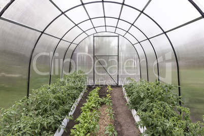 A small greenhouse for agricultural plants.