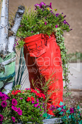 ornamental red trouser as flower pot