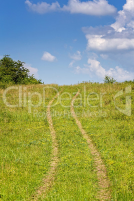 Summer landscape with yellow grass and road